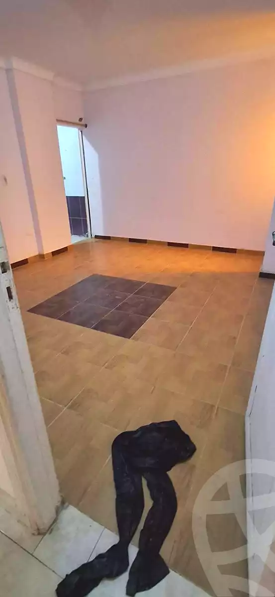 https://aqarmap.com.eg/ar/listing/6768341-for-rent-alexandria-l-jmy-lbytsh