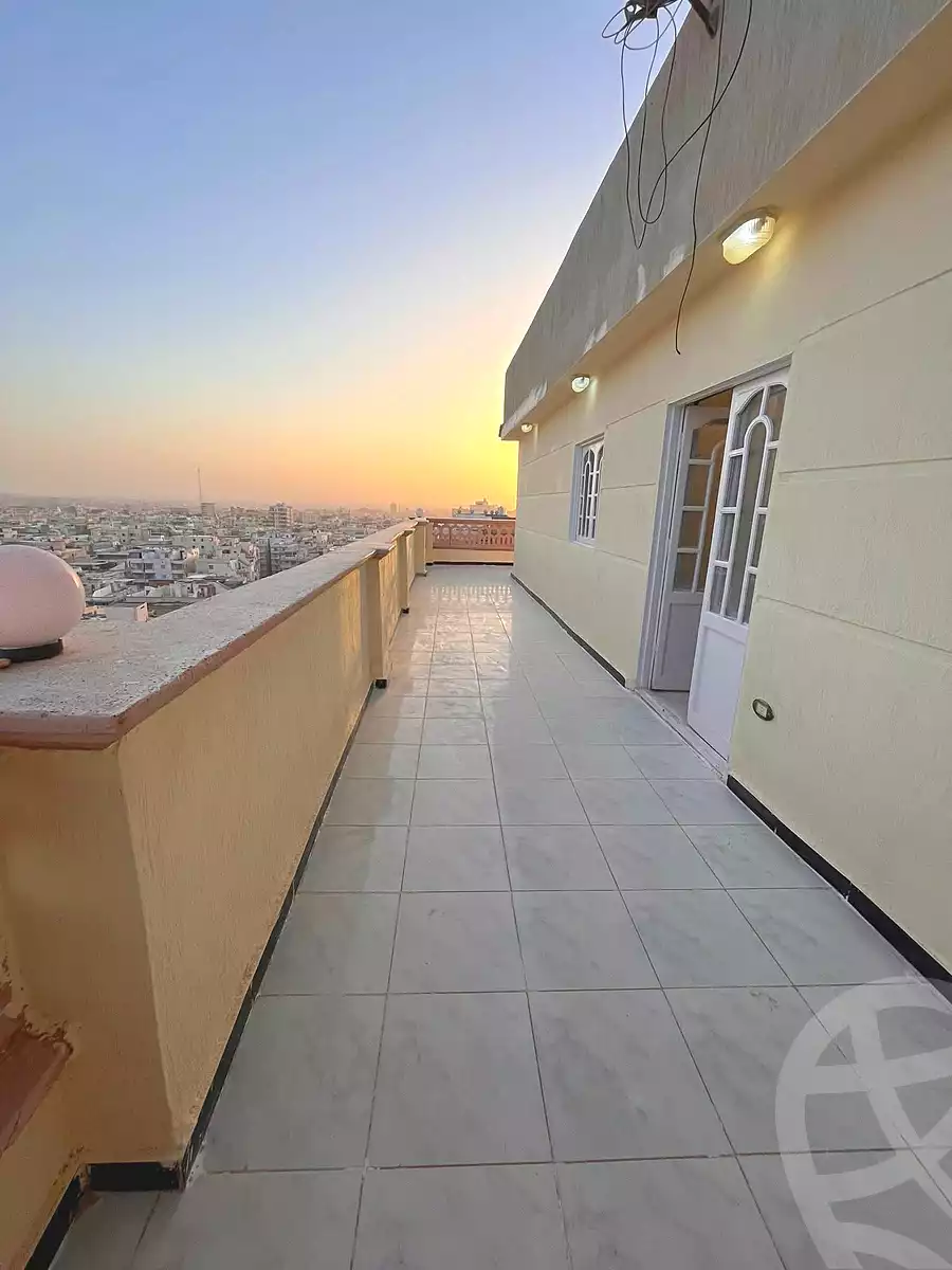 https://aqarmap.com.eg/en/listing/6768806-for-sale-alexandria-l-jmy