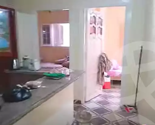 https://aqarmap.com.eg/en/listing/6771411-for-sale-alexandria-l-jmy-el-hanouvel-rich-home-st