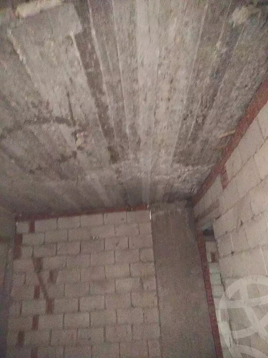 https://aqarmap.com.eg/en/listing/6777140-for-sale-alexandria-lsywf