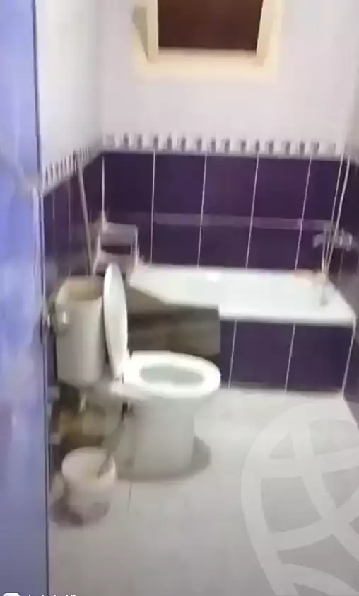 https://aqarmap.com.eg/en/listing/6777387-for-sale-cairo-ain-shams-alf-maskn