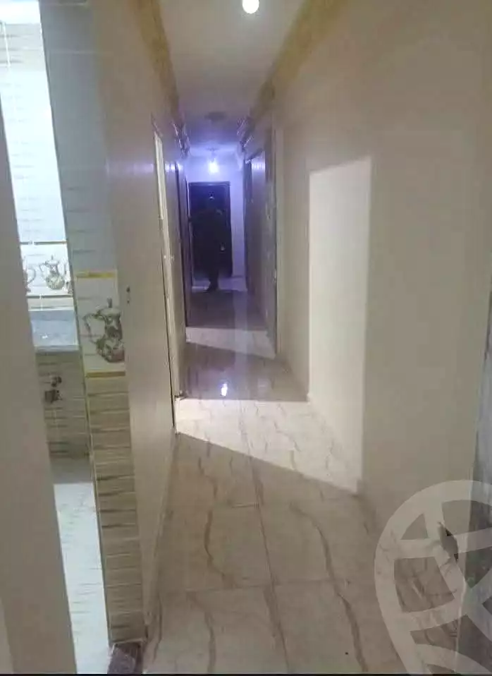 https://aqarmap.com.eg/en/listing/6783037-for-rent-alexandria-l-jmy-lbytsh-el-hay-st