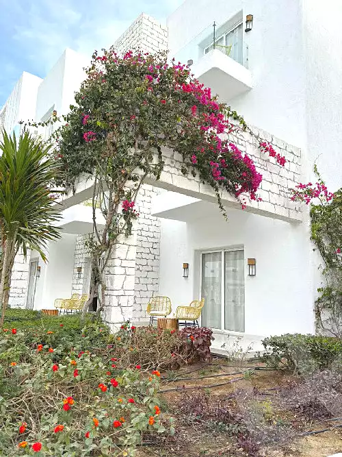 https://aqarmap.com.eg/en/listing/6785329-for-sale-north-coast-resorts-azha-madaar