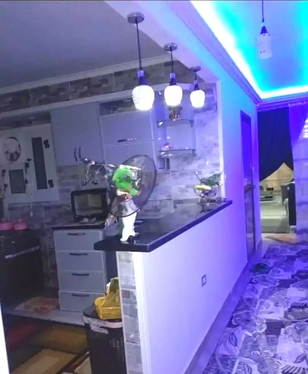 https://aqarmap.com.eg/ar/listing/6789240-for-sale-alexandria-l-jmy-lbytsh-bianchiii-el-bashwat-st
