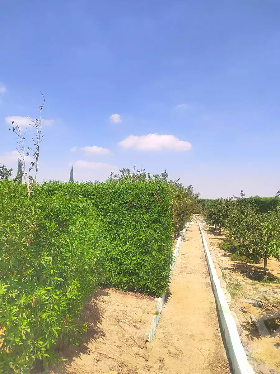 https://aqarmap.com.eg/ar/listing/6790887-for-sale-asyut-asyut-city-el-gomhoreya-st