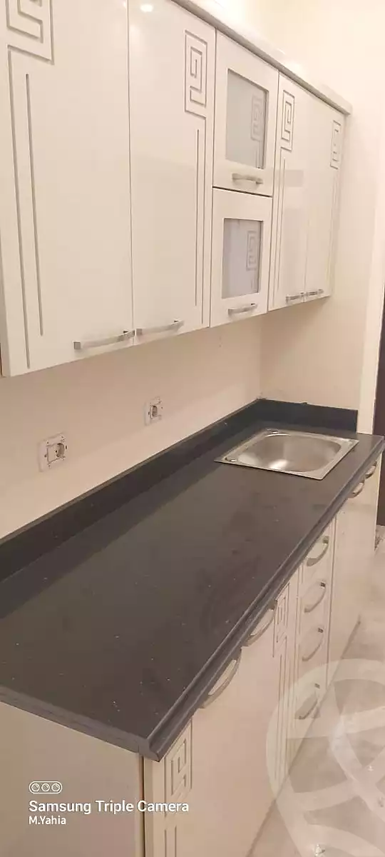 https://aqarmap.com.eg/en/listing/6792845-for-rent-cairo-new-cairo-compounds-les-rois