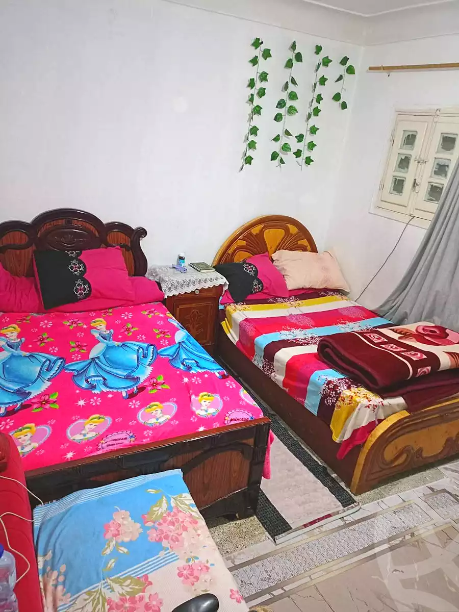 https://aqarmap.com.eg/en/listing/6793512-for-sale-alexandria-lsywf-shamaa