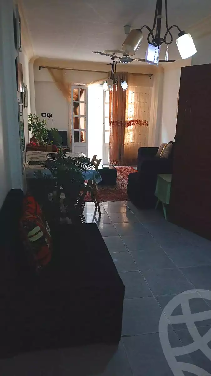 https://aqarmap.com.eg/en/listing/6795678-for-rent-alexandria-miami-khld-bn-lwlyd