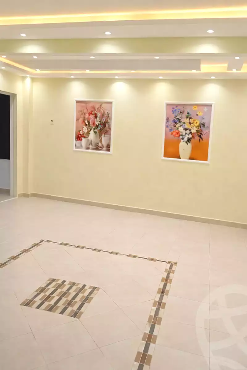 https://aqarmap.com.eg/en/listing/6797319-for-sale-cairo-faisal-hassan-mohamed-st