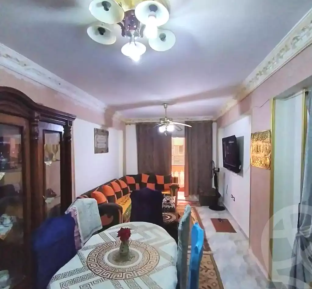 https://aqarmap.com.eg/en/listing/6797670-for-sale-alexandria-l-jmy-lbytsh-bianchiii-street-11
