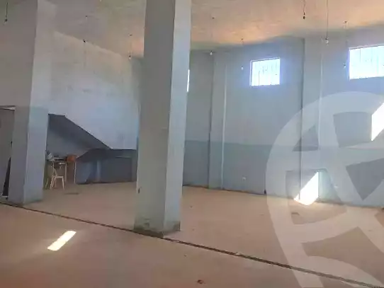 https://aqarmap.com.eg/en/listing/6798002-for-rent-alexandria-el-amreya-margham