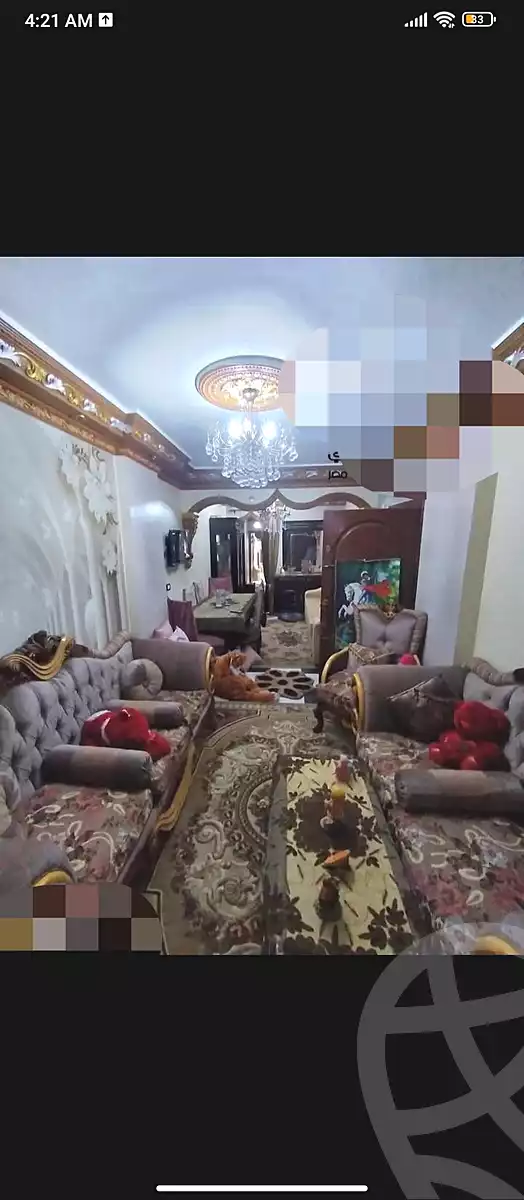 https://aqarmap.com.eg/ar/listing/6798149-for-sale-alexandria-l-jmy-lbytsh-ain-shams-st