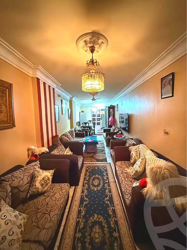 https://aqarmap.com.eg/en/listing/6802191-for-sale-alexandria-el-asafra-ali-bahgat-al-deryni-st