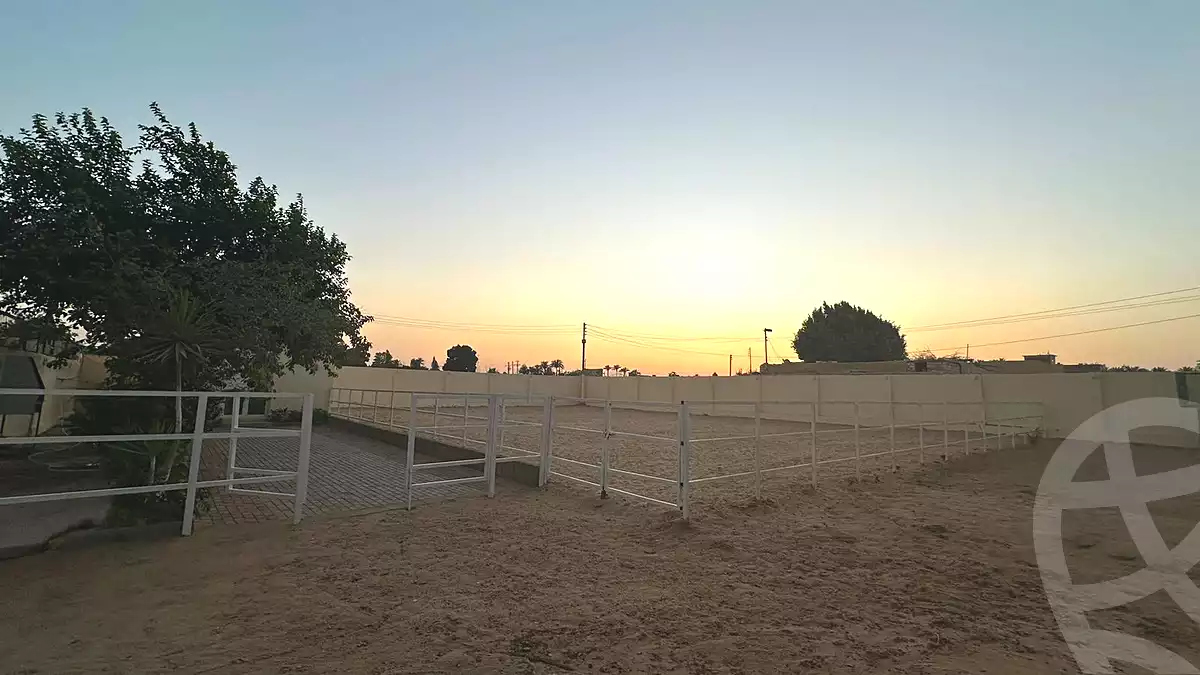 https://aqarmap.com.eg/en/listing/6803750-for-sale-cairo-el-mansuriyyah-ahmed-zaghloul-st