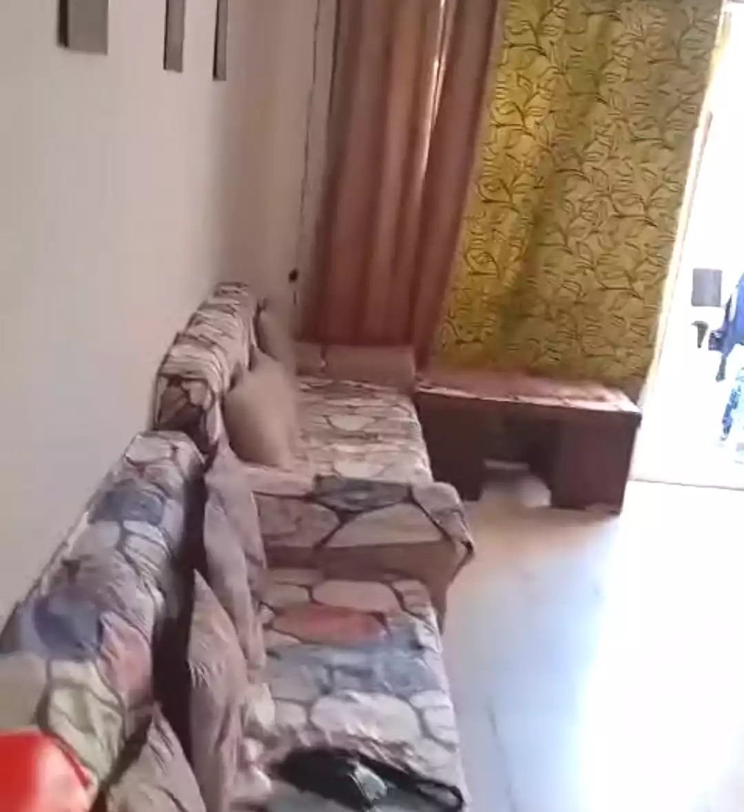 https://aqarmap.com.eg/en/listing/6804839-for-sale-alexandria-l-jmy-el-hanouvel