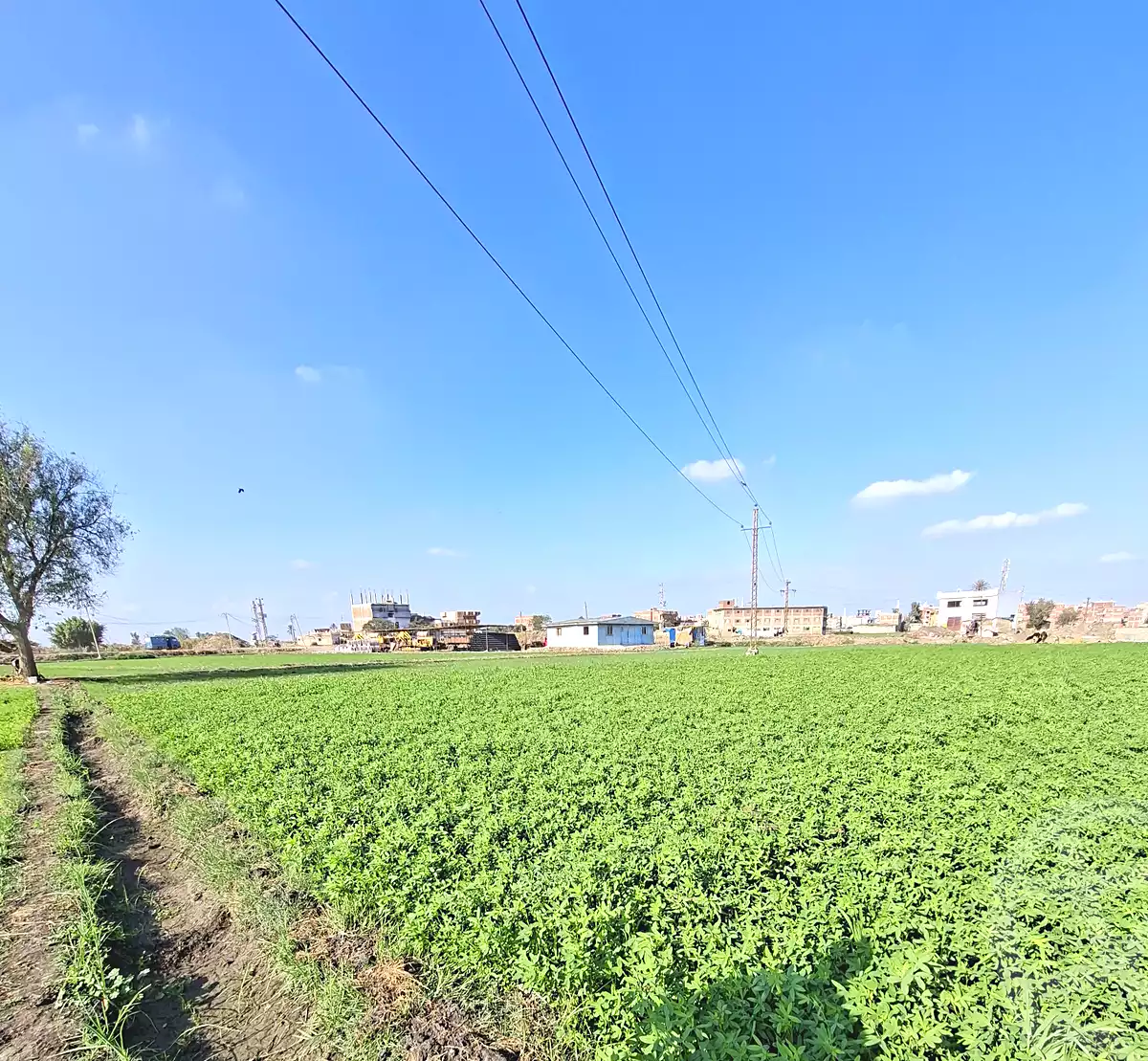 https://aqarmap.com.eg/en/listing/6807823-for-sale-sharqia-faqous-el-sawaleh