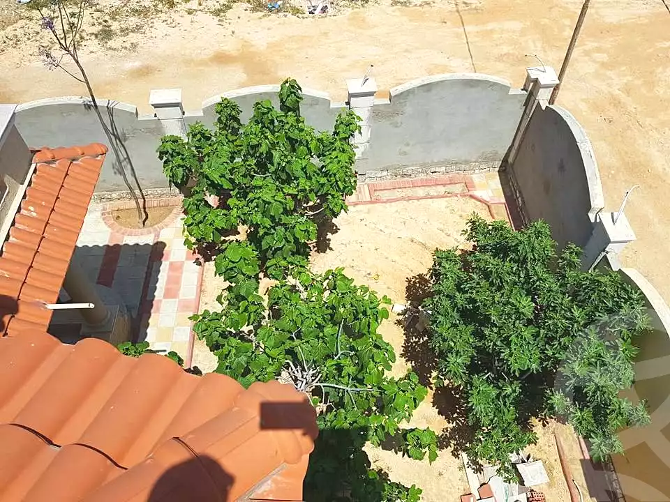 https://aqarmap.com.eg/en/listing/6808184-for-sale-alexandria-borg-el-arab