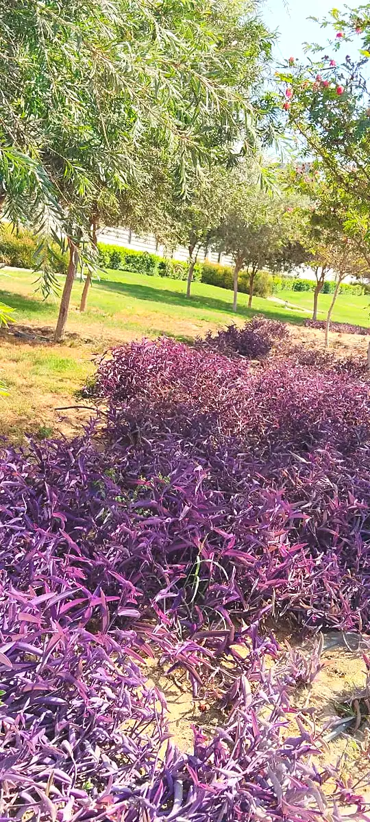 https://aqarmap.com.eg/en/listing/6818668-for-sale-cairo-new-cairo-compounds-hyde-park-centre-ville-hyde-park