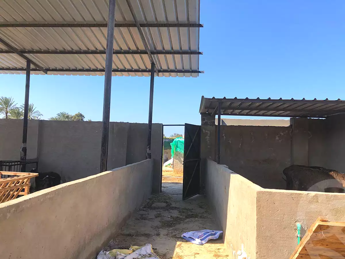https://aqarmap.com.eg/en/listing/6821719-for-sale-alexandria-borg-el-arab-gamal-abd-el-naser-rd