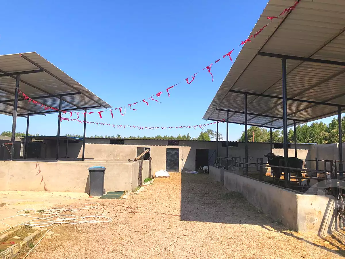 https://aqarmap.com.eg/en/listing/6821719-for-sale-alexandria-borg-el-arab-gamal-abd-el-naser-rd