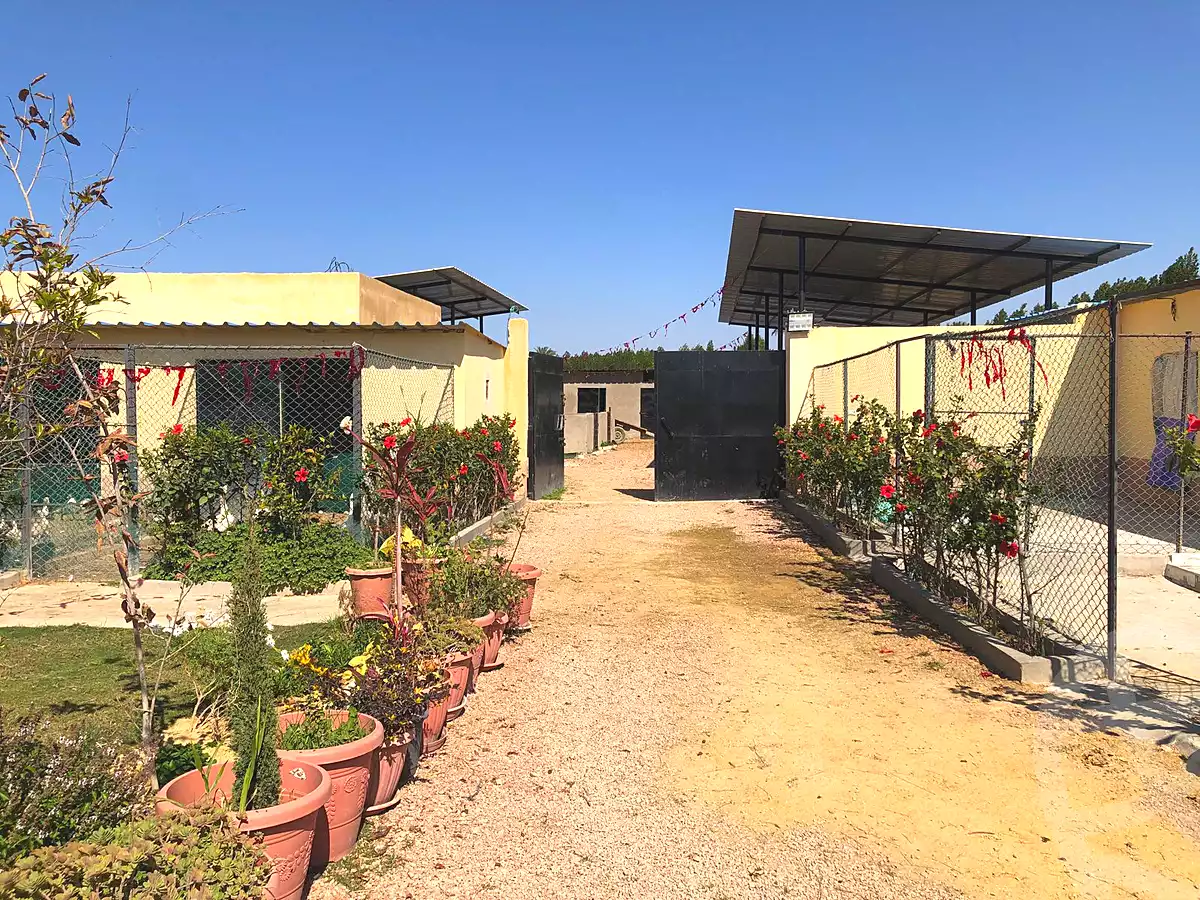 https://aqarmap.com.eg/en/listing/6821719-for-sale-alexandria-borg-el-arab-gamal-abd-el-naser-rd