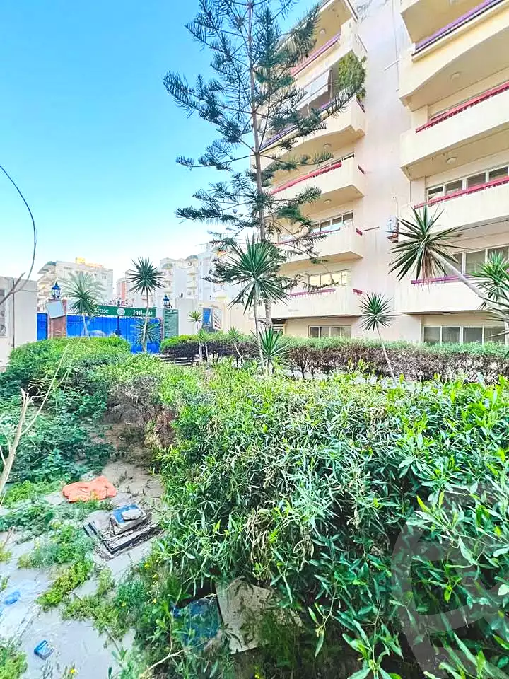https://aqarmap.com.eg/ar/listing/6822769-for-sale-alexandria-l-jmy-shataa-el-nakheel