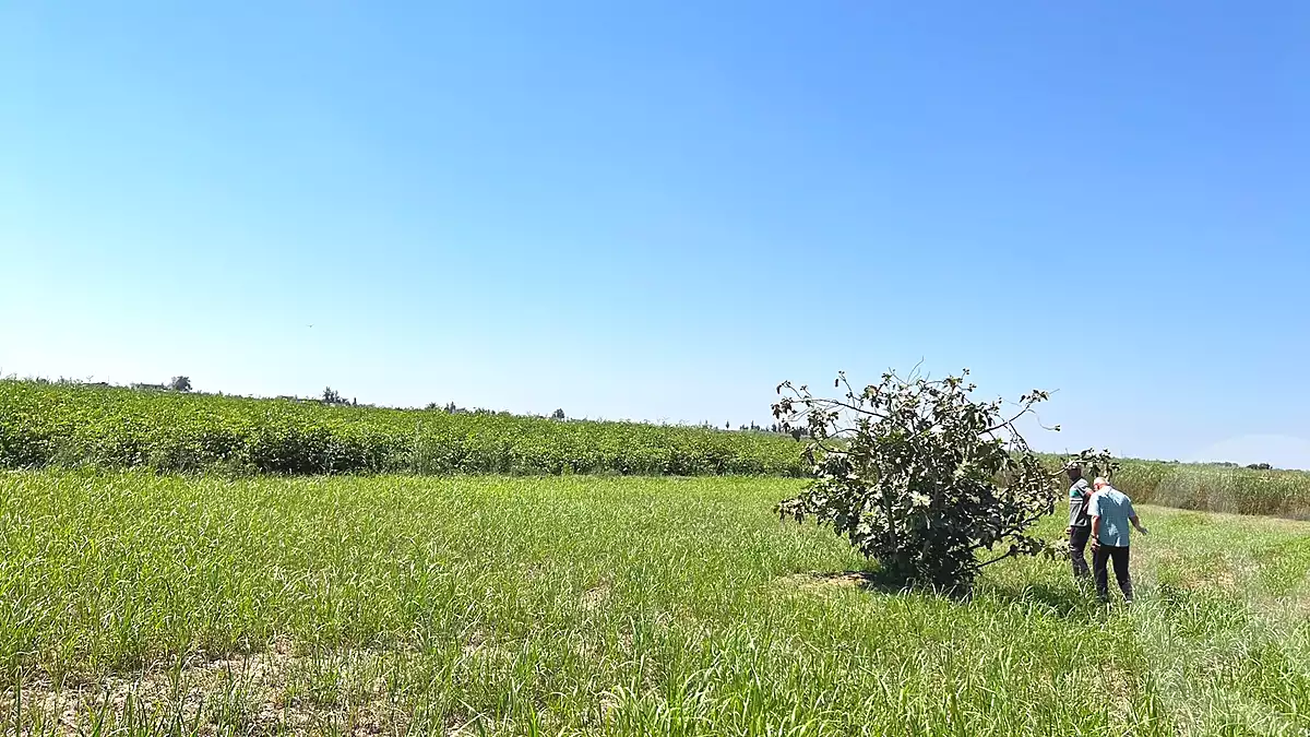 https://aqarmap.com.eg/ar/listing/6825529-for-sale-ismailia-el-qantara