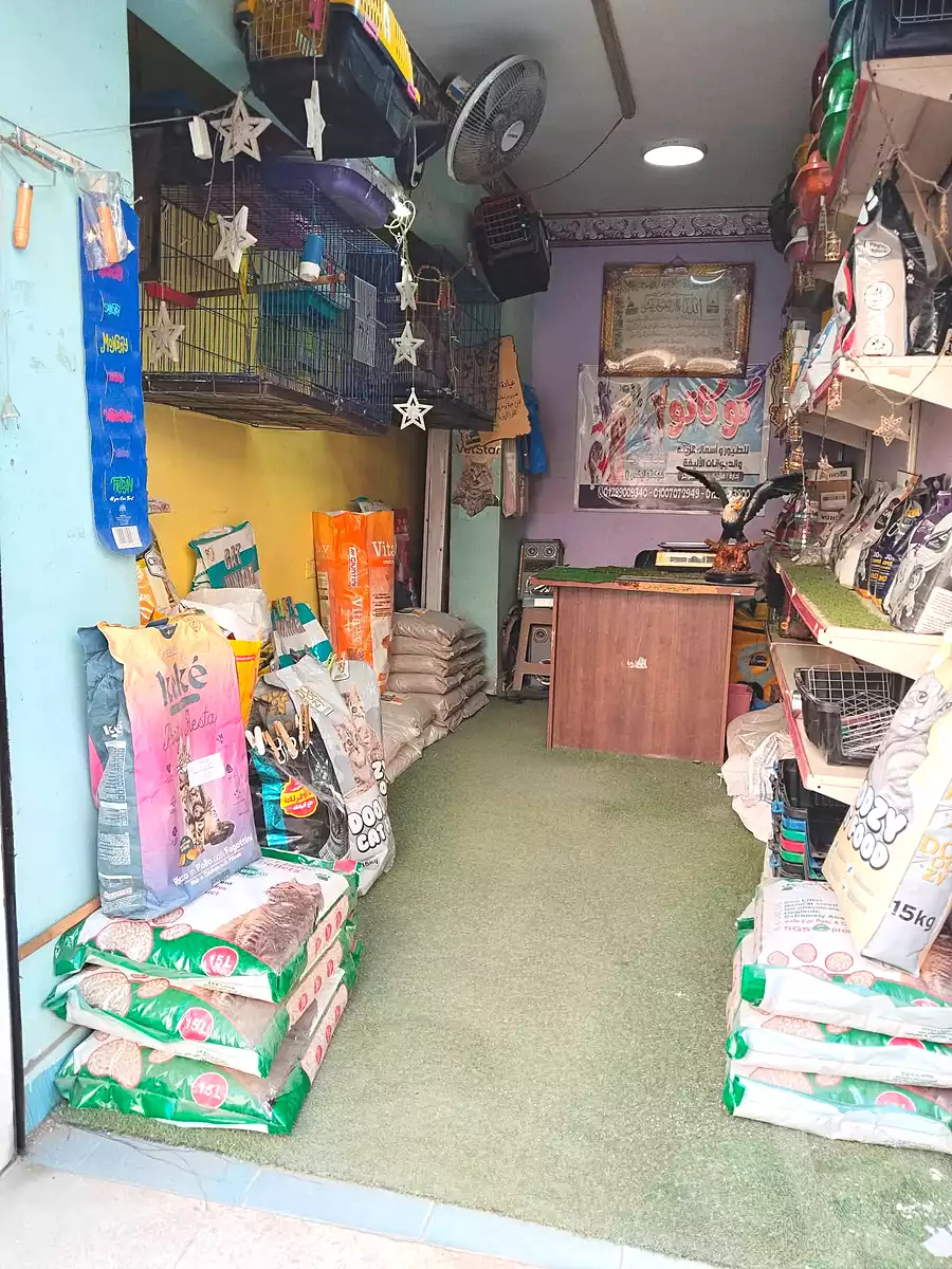 https://aqarmap.com.eg/en/listing/6826447-for-sale-alexandria-lsywf-shamaa
