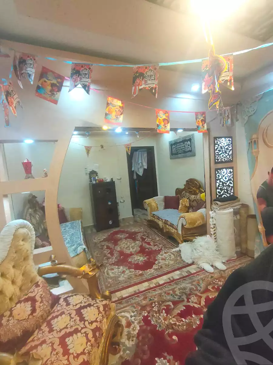 https://aqarmap.com.eg/ar/listing/6827713-for-sale-alexandria-l-jmy-lbytsh-ain-shams-st