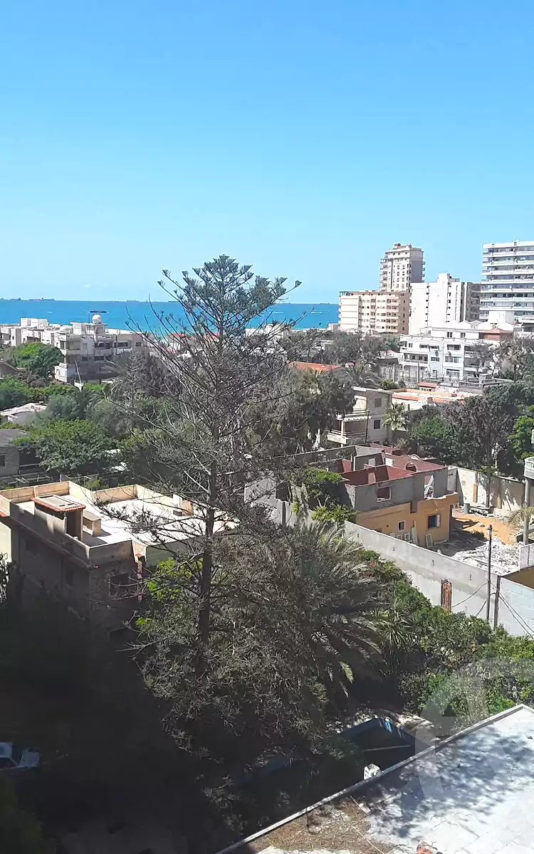 https://aqarmap.com.eg/ar/listing/6828759-for-rent-alexandria-l-jmy-lbytsh-bianchiii