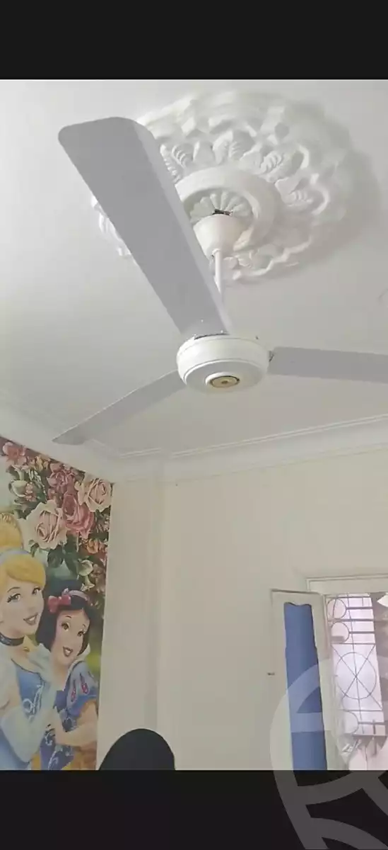 https://aqarmap.com.eg/en/listing/6830695-for-rent-dakahlia-mansoura-shr-lmtfy