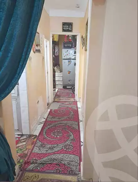 https://aqarmap.com.eg/ar/listing/6831056-for-sale-alexandria-el-mandara-alex-el-mandara-bahri-nemat-allah-st