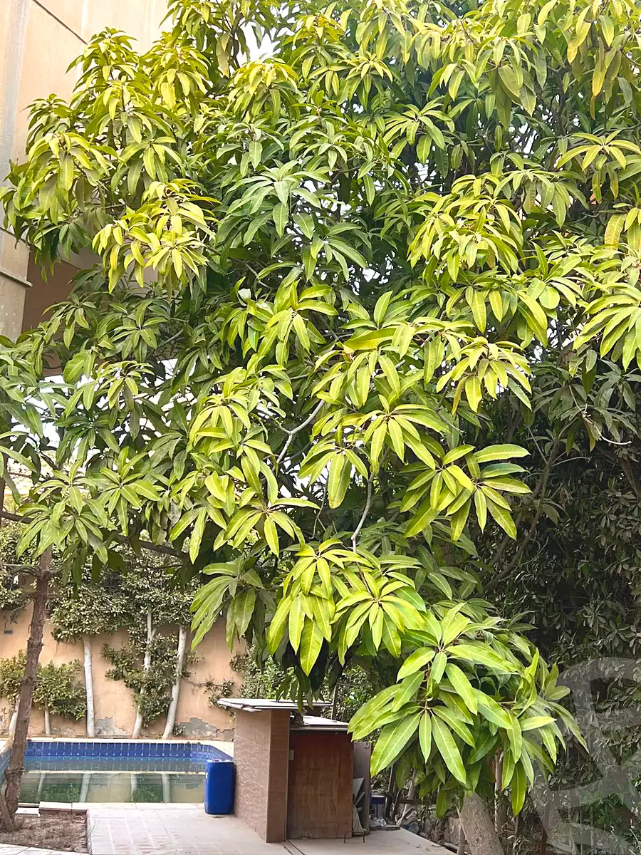 https://aqarmap.com.eg/ar/listing/6832058-for-rent-cairo-6th-of-october-compounds-utopia-1