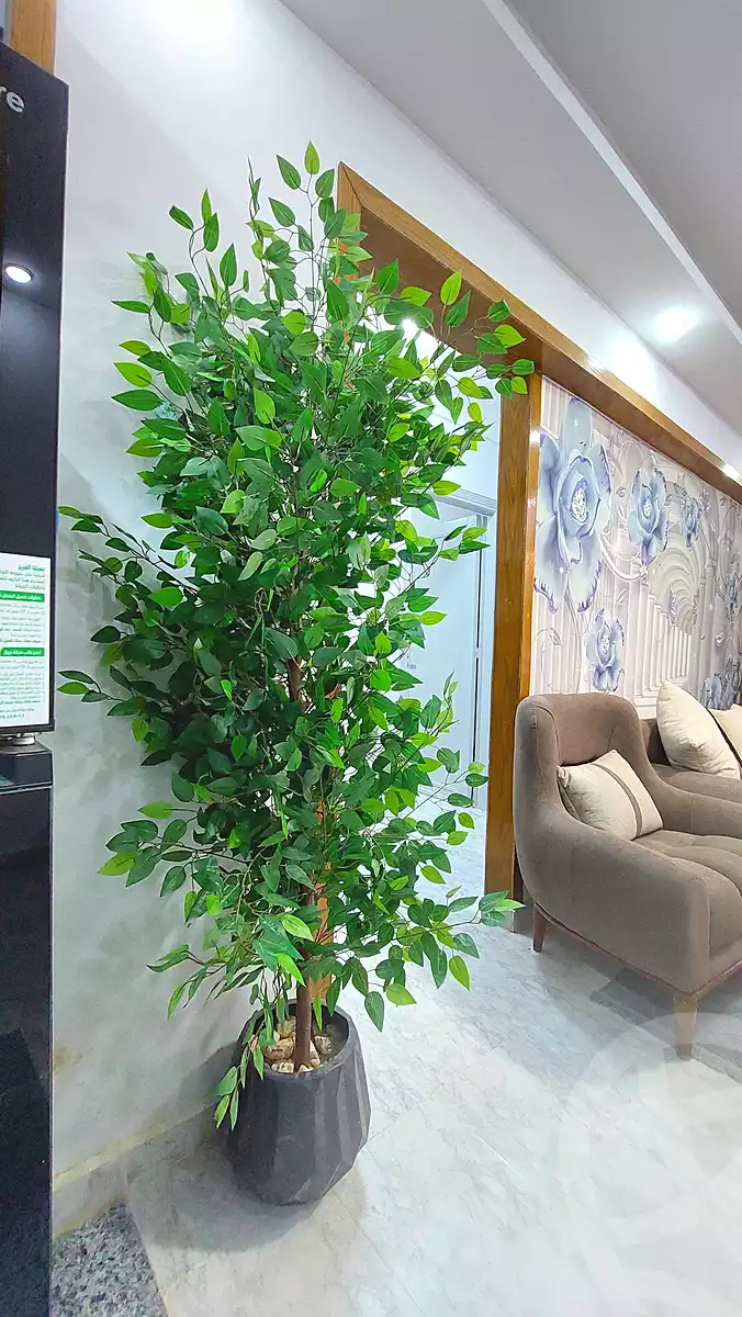 https://aqarmap.com.eg/en/listing/6833976-for-sale-alexandria-l-jmy-shataa-el-nakheel