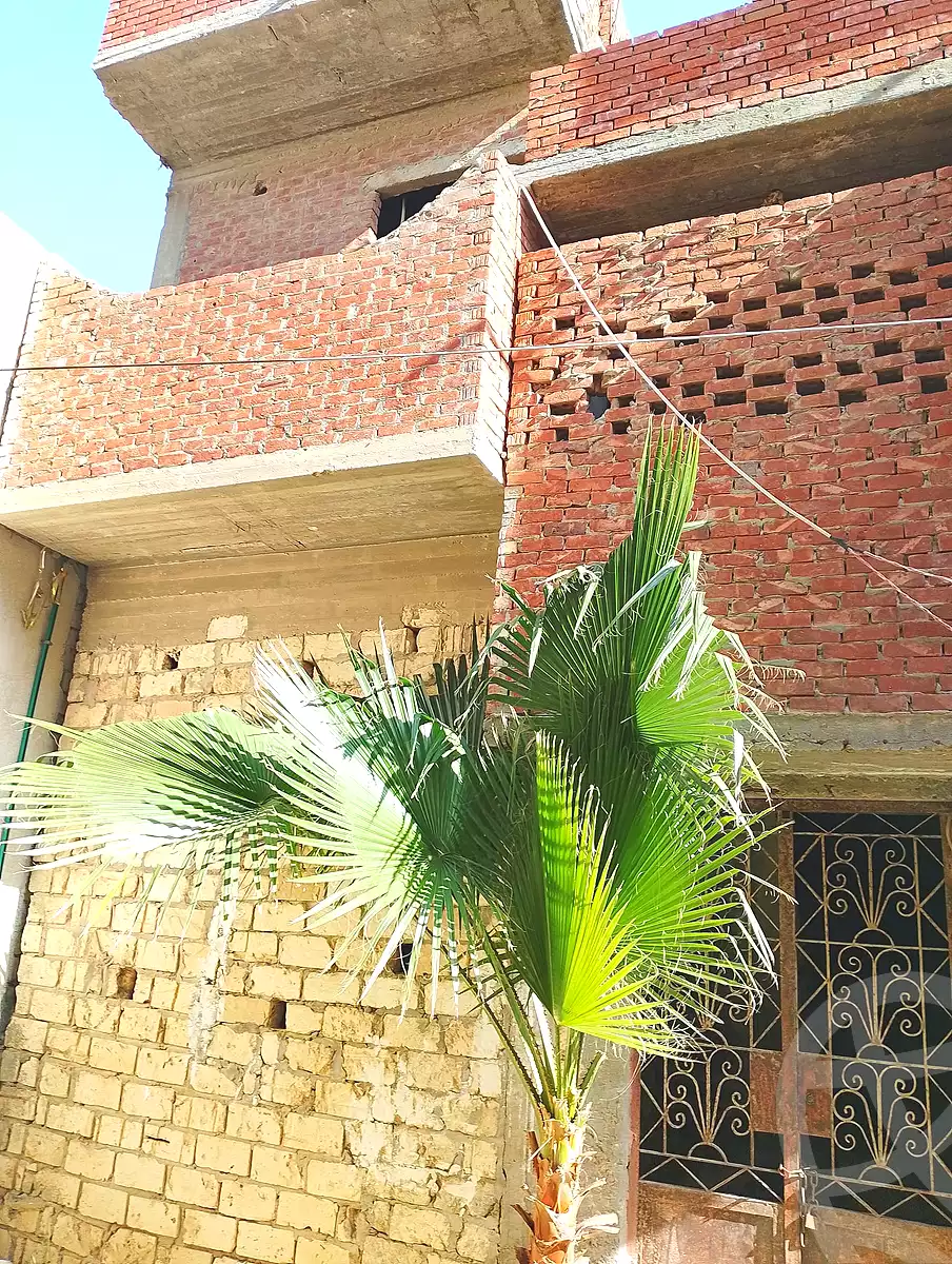 https://aqarmap.com.eg/en/listing/6834655-for-sale-alexandria-abu-talat