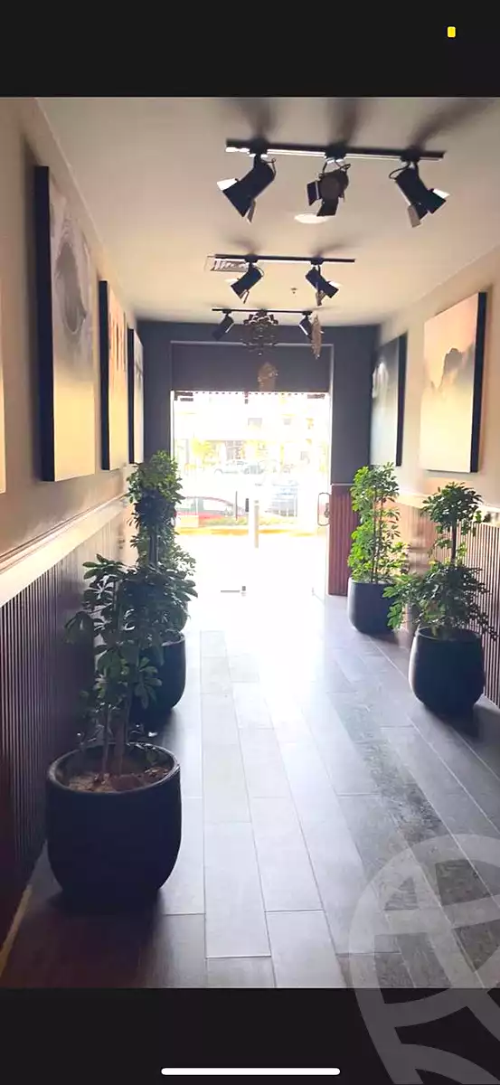 https://aqarmap.com.eg/ar/listing/6841005-for-rent-cairo-new-cairo-mohammed-nagib-axis-st