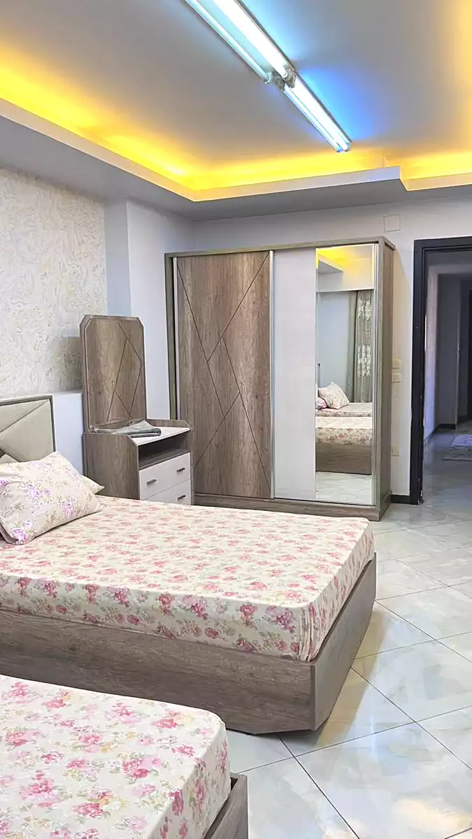 https://aqarmap.com.eg/en/listing/6841531-for-rent-cairo-manial-manial-st
