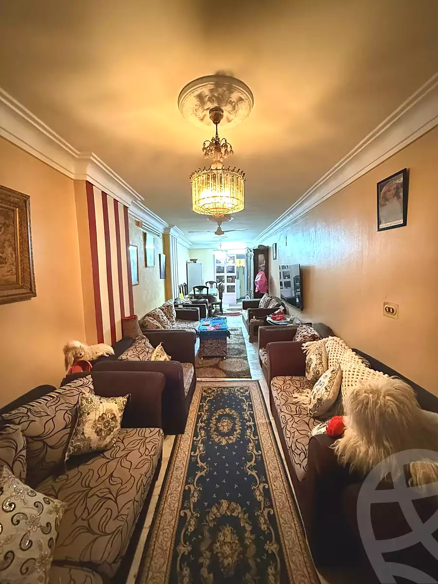 https://aqarmap.com.eg/en/listing/6843991-for-sale-alexandria-el-asafra-ali-bahgat-al-deryni-st