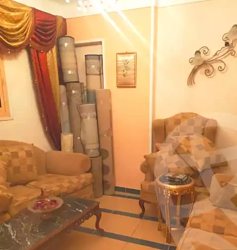 https://aqarmap.com.eg/ar/listing/6848538-for-sale-alexandria-ganaklis