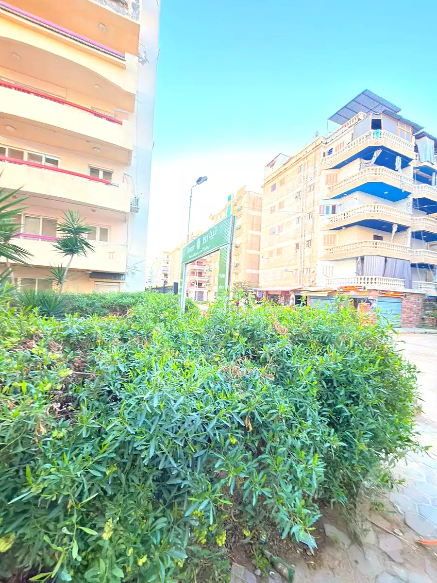 https://aqarmap.com.eg/ar/listing/6859391-for-sale-alexandria-al-agamy-shataa-el-nakheel