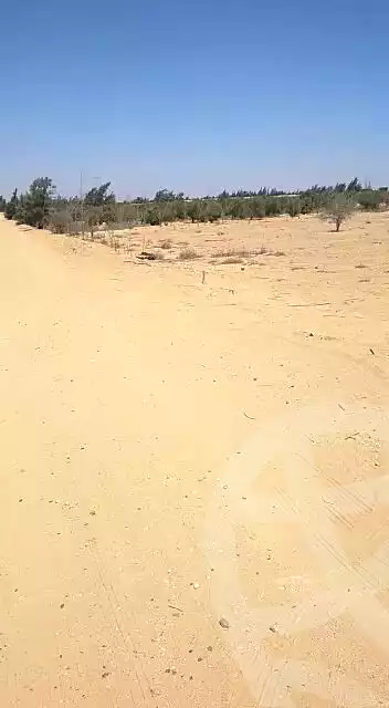 https://aqarmap.com.eg/ar/listing/6862072-for-sale-alexandria-cairo-alexandria-desert-road