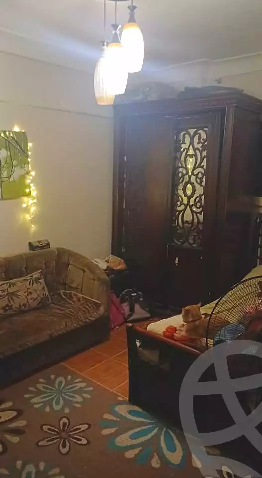 https://aqarmap.com.eg/en/listing/6865534-for-sale-alexandria-el-mandara-alex-el-mandara-bahri