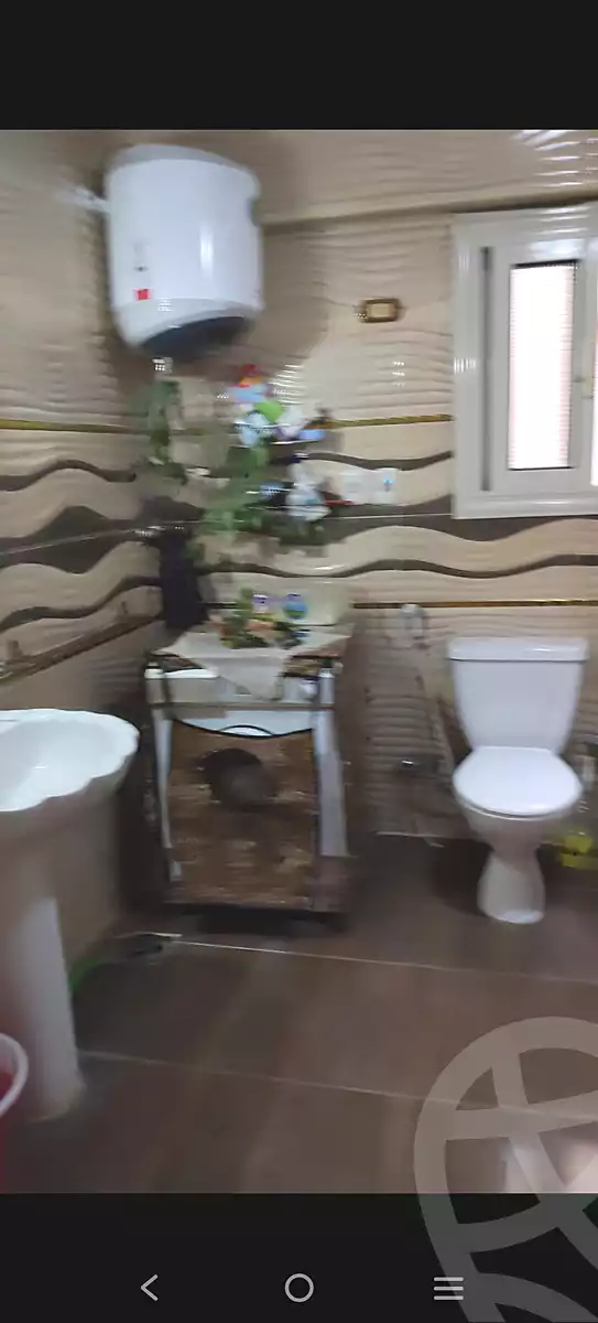 https://aqarmap.com.eg/ar/listing/6866640-for-rent-cairo-nasr-city-9th-zone-dr-ibrahim-nagy-st