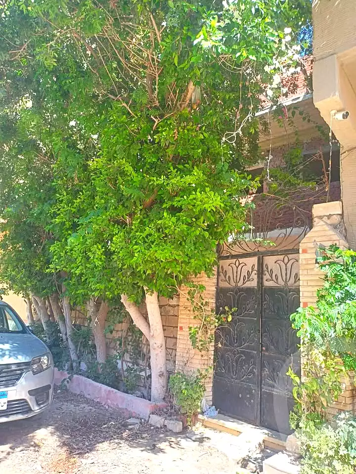 https://aqarmap.com.eg/ar/listing/6867773-for-rent-alexandria-al-agamy-el-hanouvel-al-haded-we-al-soulb-st