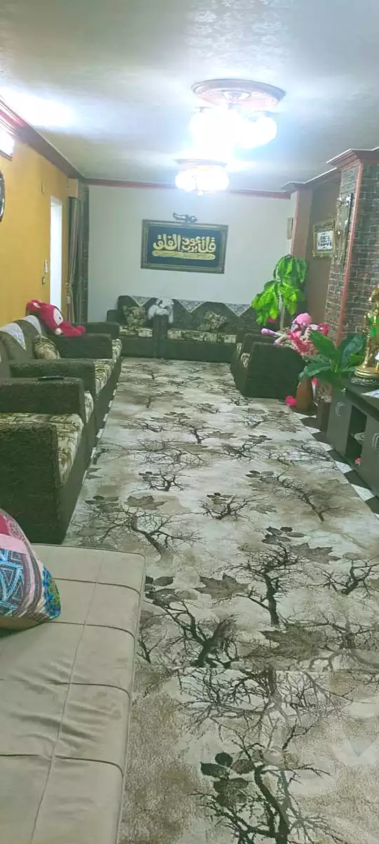 https://aqarmap.com.eg/en/listing/6867943-for-sale-cairo-ain-shams-mnshy-lthryr