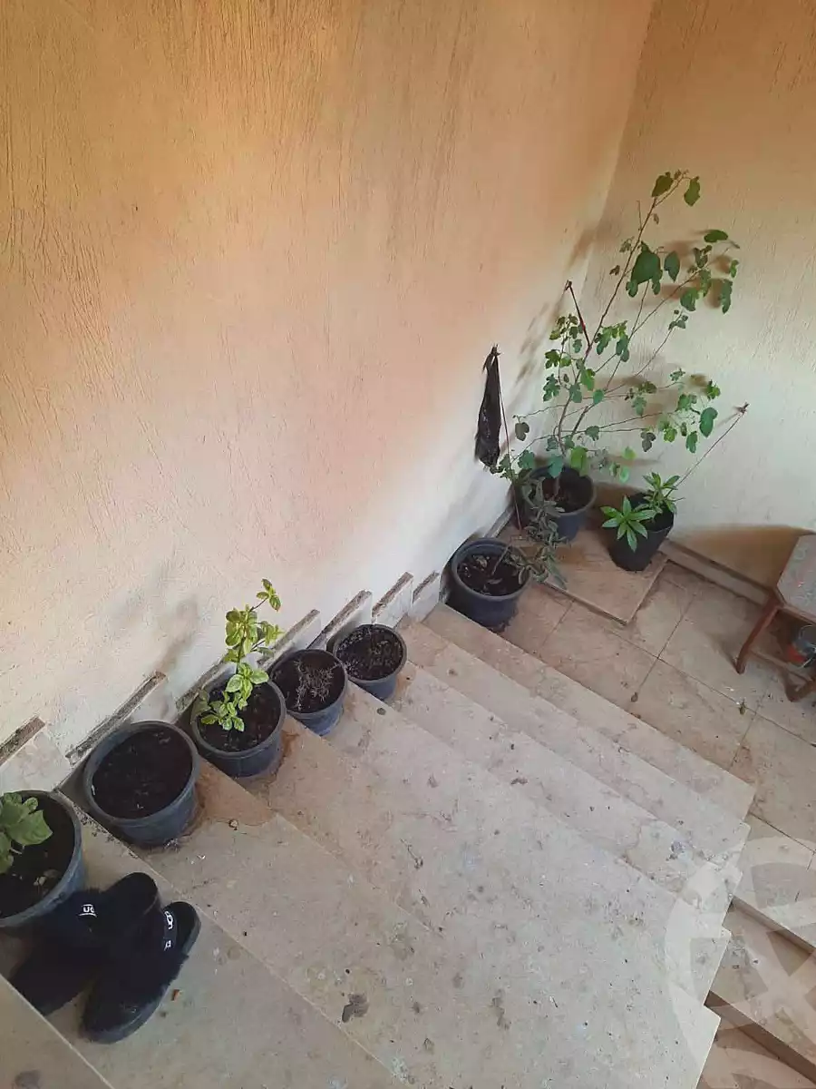 https://aqarmap.com.eg/ar/listing/6873072-for-sale-cairo-heliopolis-gesr-elsuez
