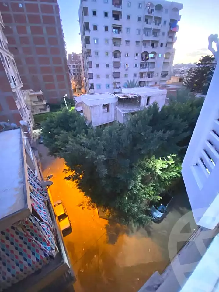https://aqarmap.com.eg/en/listing/6874788-for-sale-alexandria-al-agamy-lbytsh-shahr-al-assal-st