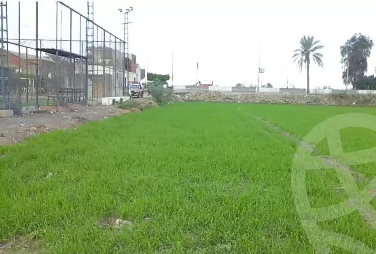 https://aqarmap.com.eg/ar/listing/6879019-for-sale-sharqia-abu-hamad-abou-hammad-city