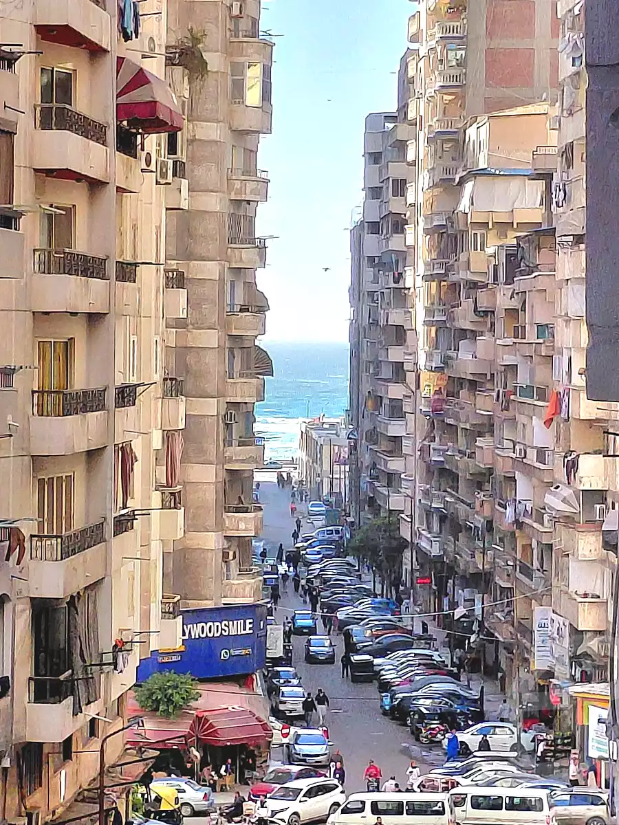https://aqarmap.com.eg/ar/listing/6885660-for-sale-alexandria-el-asafra-l-sfr-bhry