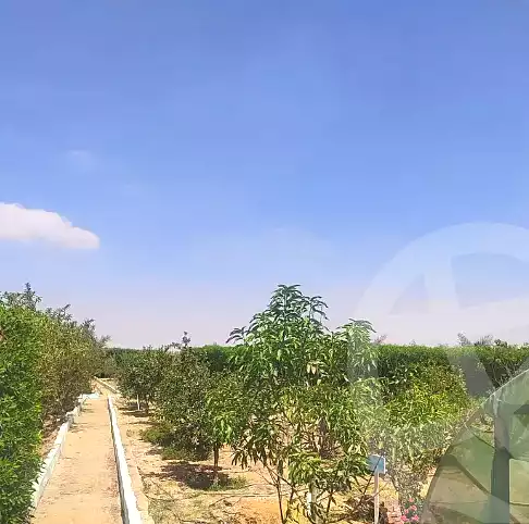 https://aqarmap.com.eg/en/listing/6889657-for-sale-el-fayoum-asyut-rd